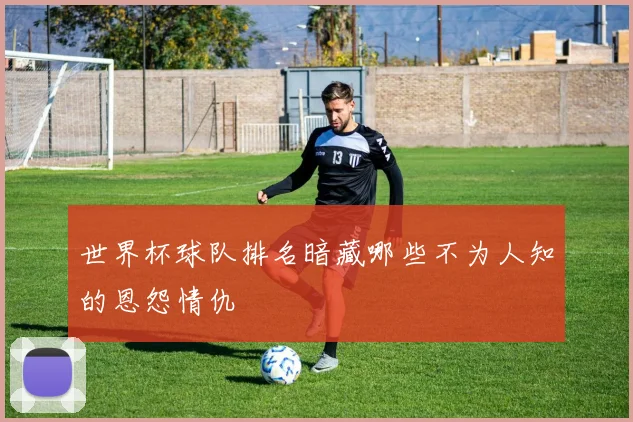 世界杯球队排名暗藏哪些不为人知的恩怨情仇