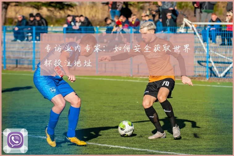 专访业内专家:如何安全获取世界杯投注地址
