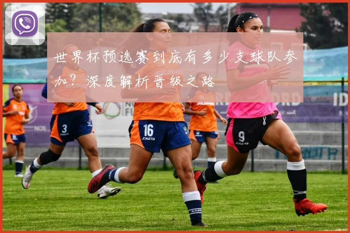 世界杯预选赛到底有多少支球队参加？深度解析晋级之路